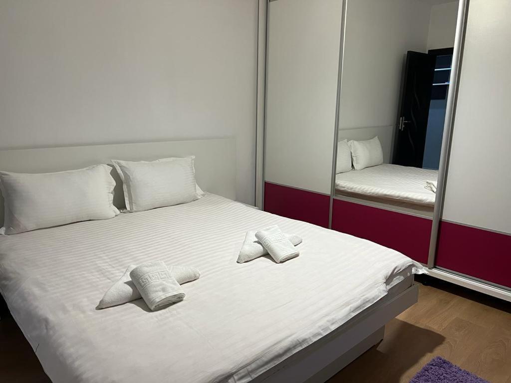 Tudor Central Apartment Mihai Viteazu Square Cluj-Napoca Eksteriør bilde